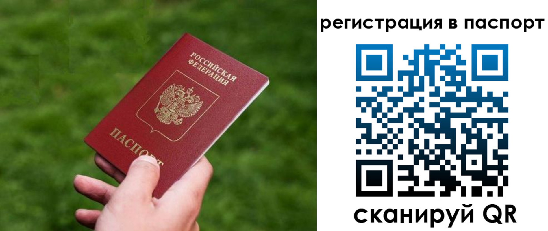 пропишу в квартире в Брянске